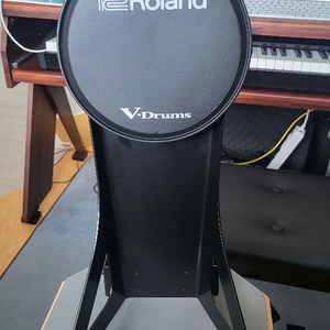 Roland kd-10