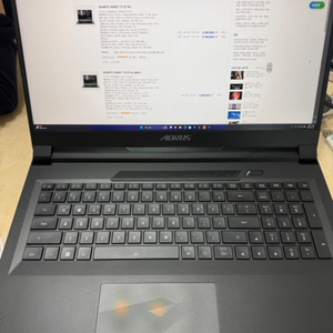 어로스 17X Zf Pro11//4090노트북