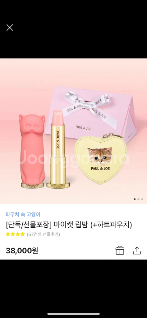 폴앤조 고양이 립밤--2