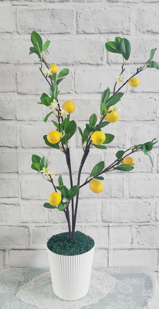 새상품)이케아 화분/풍성한 레몬조화 나무