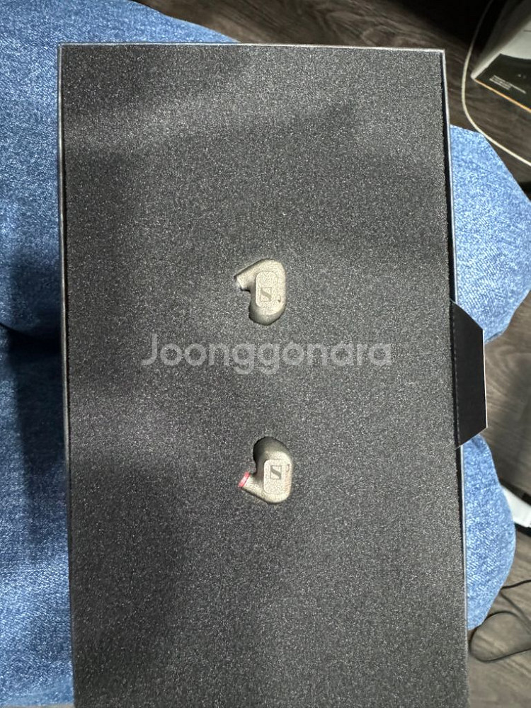 젠하이저 ie600 3개월 사용한거 싸게 내놔요 ㅎㅎ--1