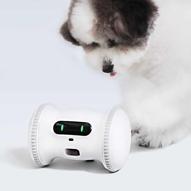 바램펫 피트니스 Pro 로봇 (강아지 장난감 피트니스)