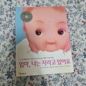 이유식책