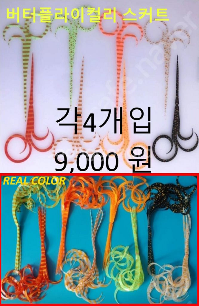 서해 타이라바 시즌!!--1