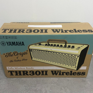 야마하 thr30ll wireless