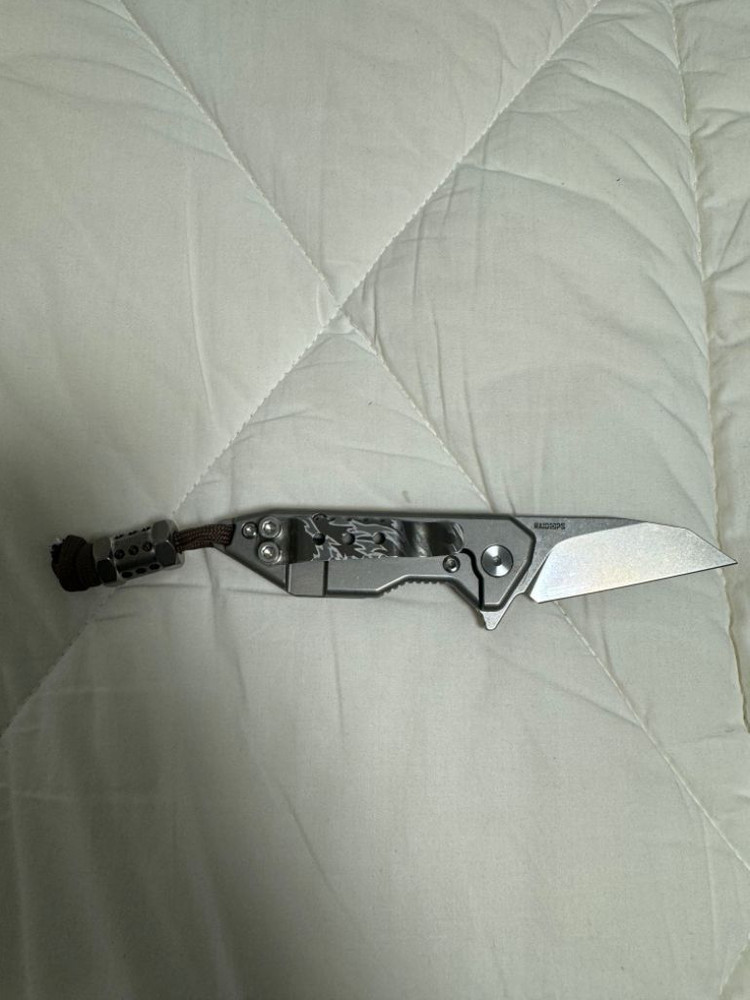 레이돕스 캐스트럴--1