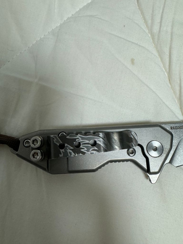 레이돕스 캐스트럴--3