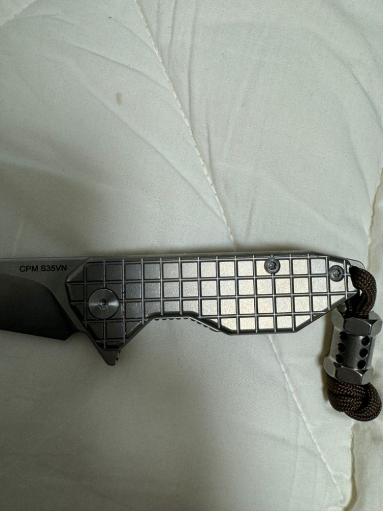 레이돕스 캐스트럴--2