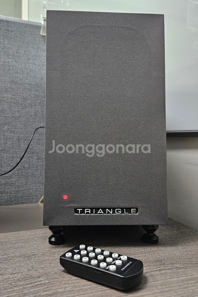 트라이앵글 엘라라 LN01A 액티브 스피커--2