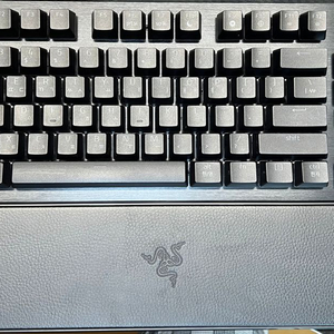 레이저 헌츠맨 v3 pro tkl