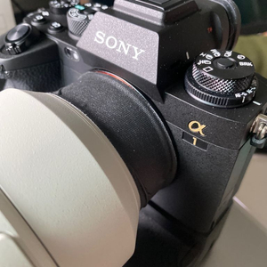 소니 SONY A1 바디만.