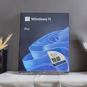 윈도우11 프로 FPP 정품 usb 처음사용자용