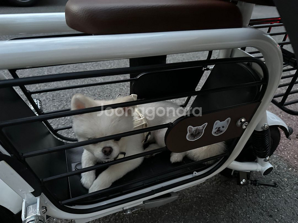 이디뚜뚜 *듀얼모터 20A *배터리 분리형--6