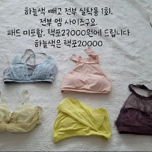 폴웨어 상의 핫한 켈리 포럴