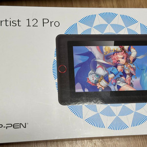 XP PEN Artist 12 pro 엑스피펜
