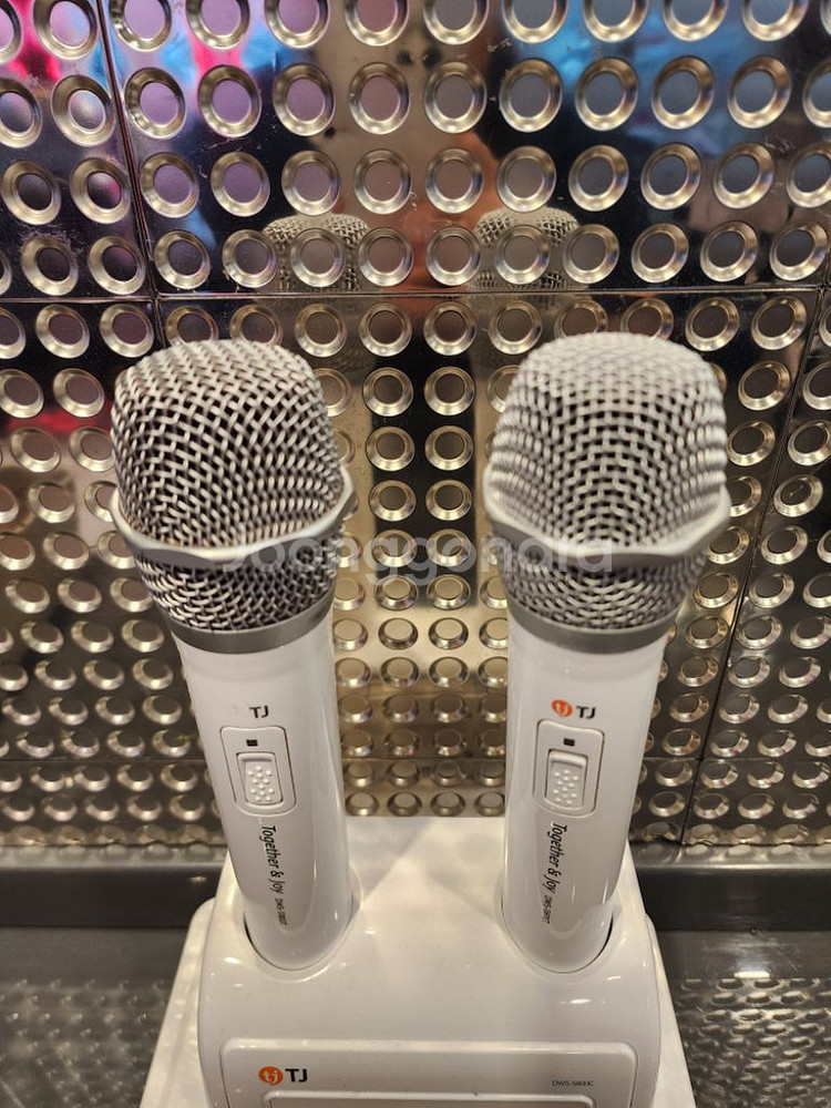 태진 무선마이크 DWS-5800 (10세트)--1