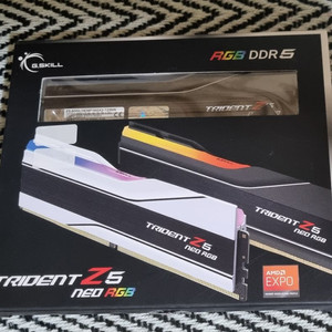 지스킬 트라이던트 네오 DDR5 16Gx2