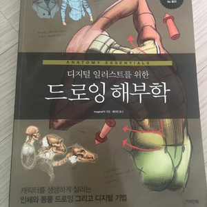 디지털 일러스트를 위한 드로잉 해부학