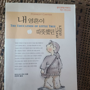 내 영혼이 따뜻했던 날들 책