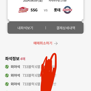 6/9 롯데자이언츠 vs ssg 외야 4인단체