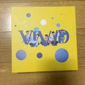 vivid 앨범