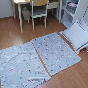 냥이담요 2개 집사템