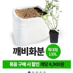 블루베리 화분 130L 12개 팔아요.