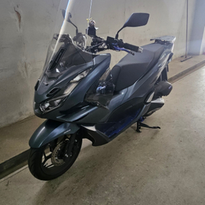 pcx125 22년식 abs모델