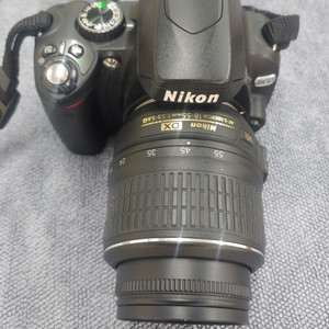 니콘 카메라( D60)