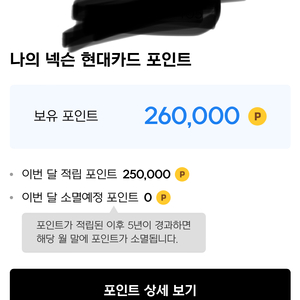 넥슨캐쉬 26만원을 23만원에 팝니다.