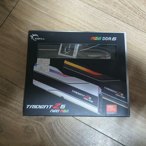 지스킬 트라이던트 32G DDR5 6000