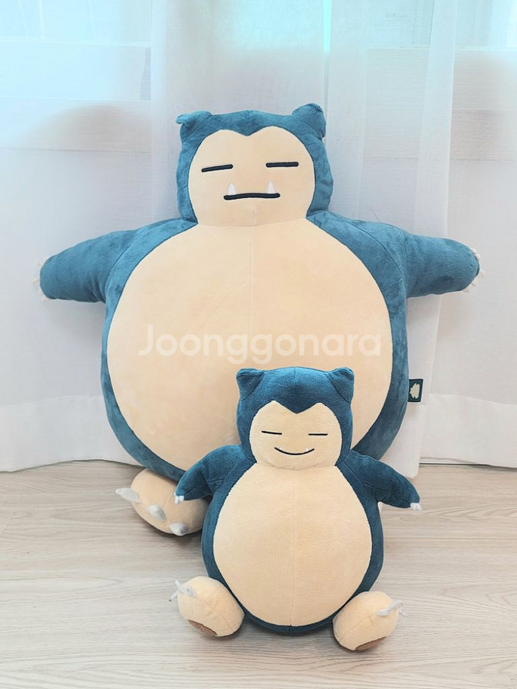 포켓몬,리락쿠마,라이언 인형 총 11개 일괄 판매합니다--1