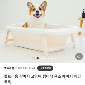 반려동물 욕조 미개봉 새상품입니다.