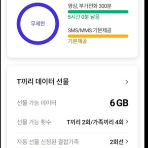 데이터 2기가