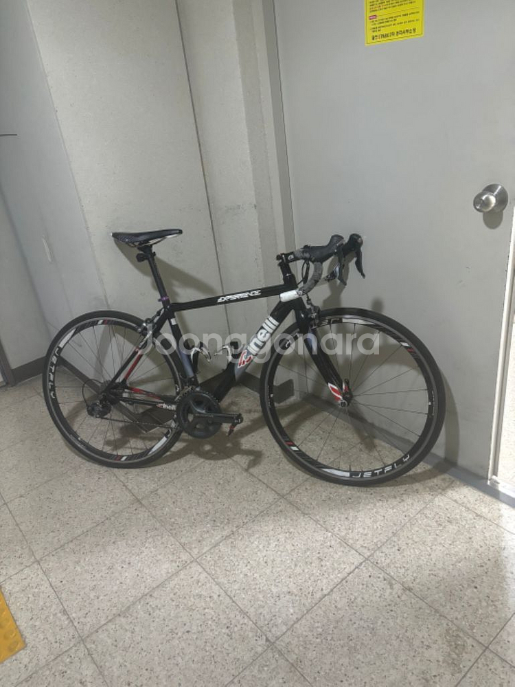 치넬리 익스피리언스 로드자전거--0