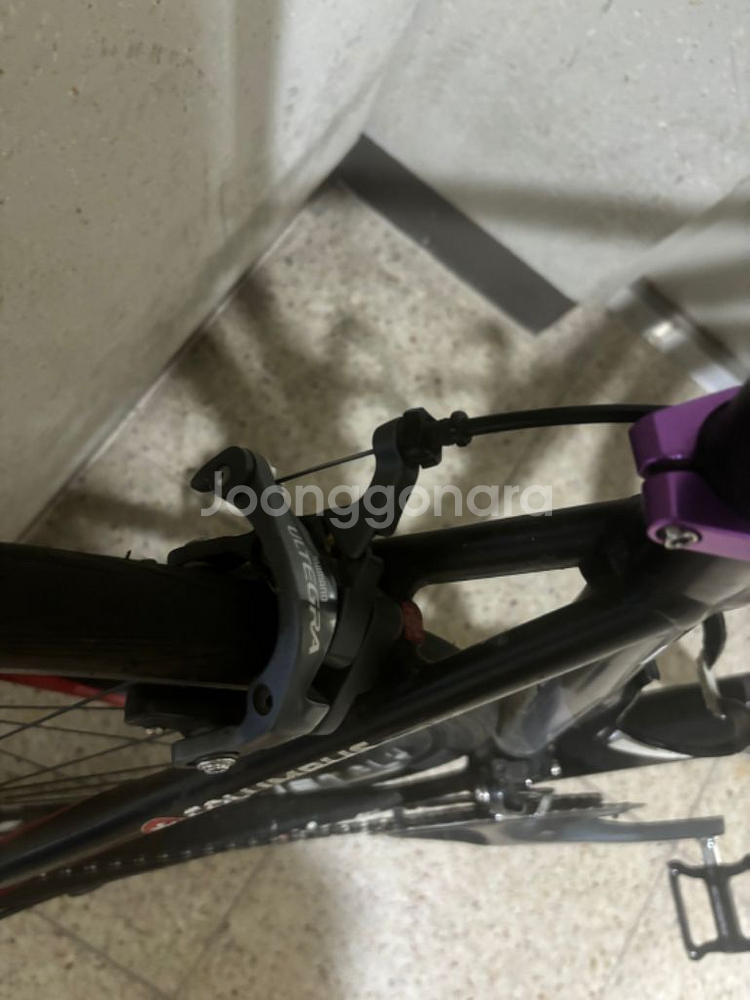 치넬리 익스피리언스 로드자전거--3