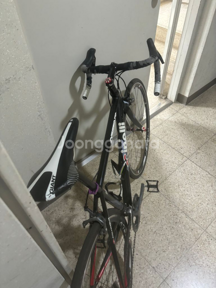 치넬리 익스피리언스 로드자전거--7