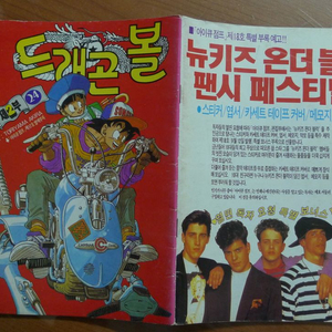 1991년 제17호 소년 만화 잡지 아이큐점프 별책부록