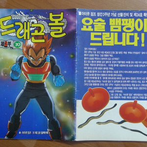 1991년 제30호 소년 만화 잡지 아이큐점프 별책부록