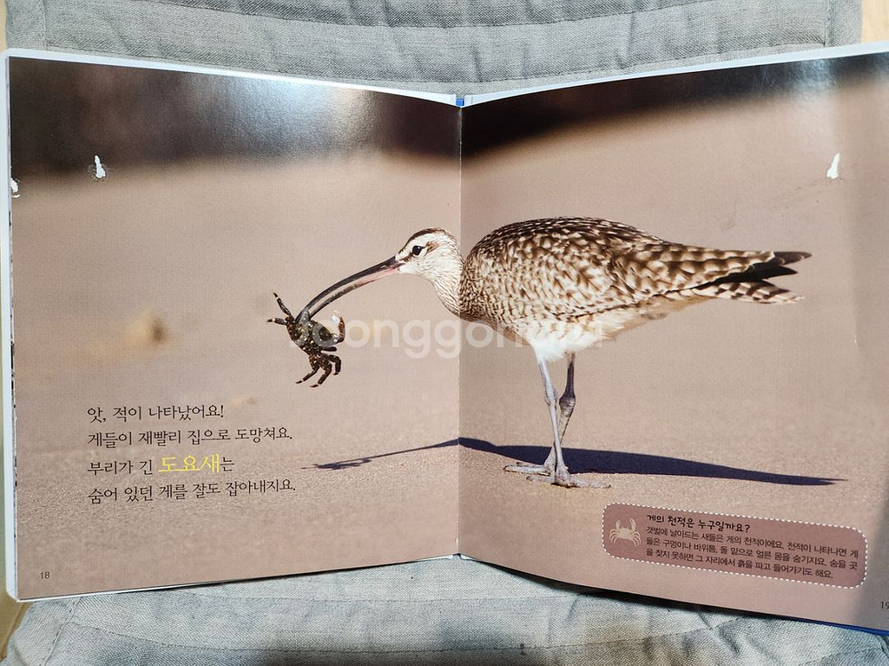 (가격다운)블루래빗 자연관찰전권+토끼펜+@ (무배)--2
