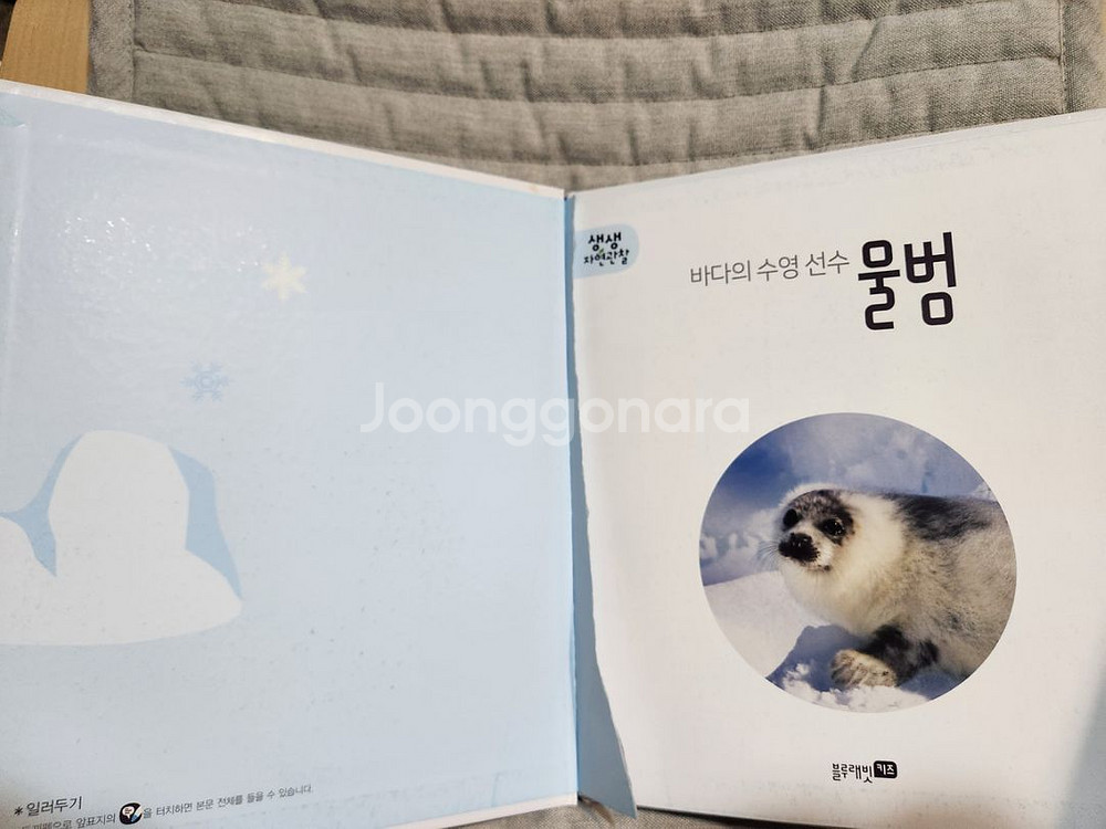 (가격다운)블루래빗 자연관찰전권+토끼펜+@ (무배)--5