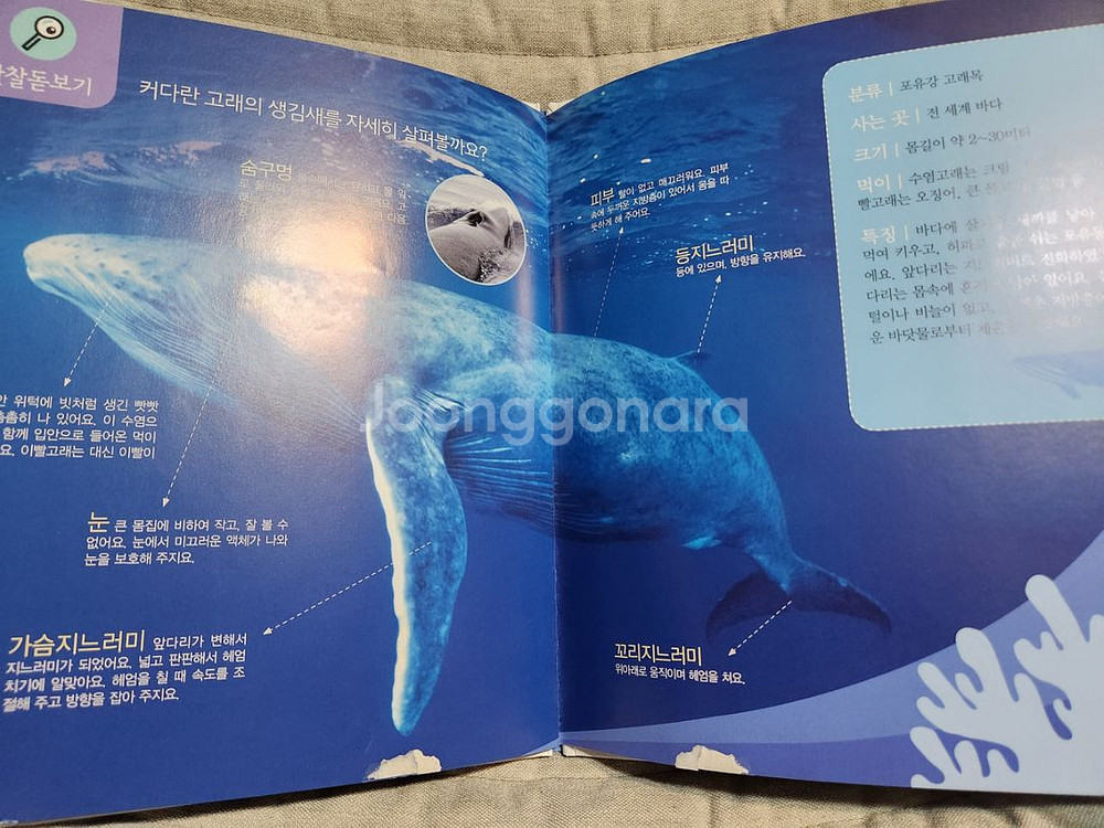 (가격다운)블루래빗 자연관찰전권+토끼펜+@ (무배)--4