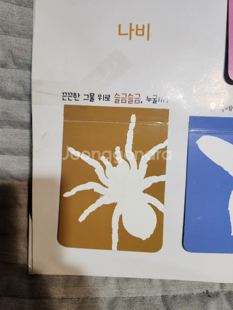(가격다운)블루래빗 자연관찰전권+토끼펜+@ (무배)--9