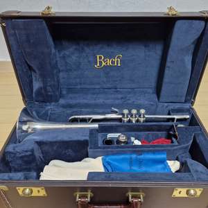 Bach 180S43. Bb트럼펫