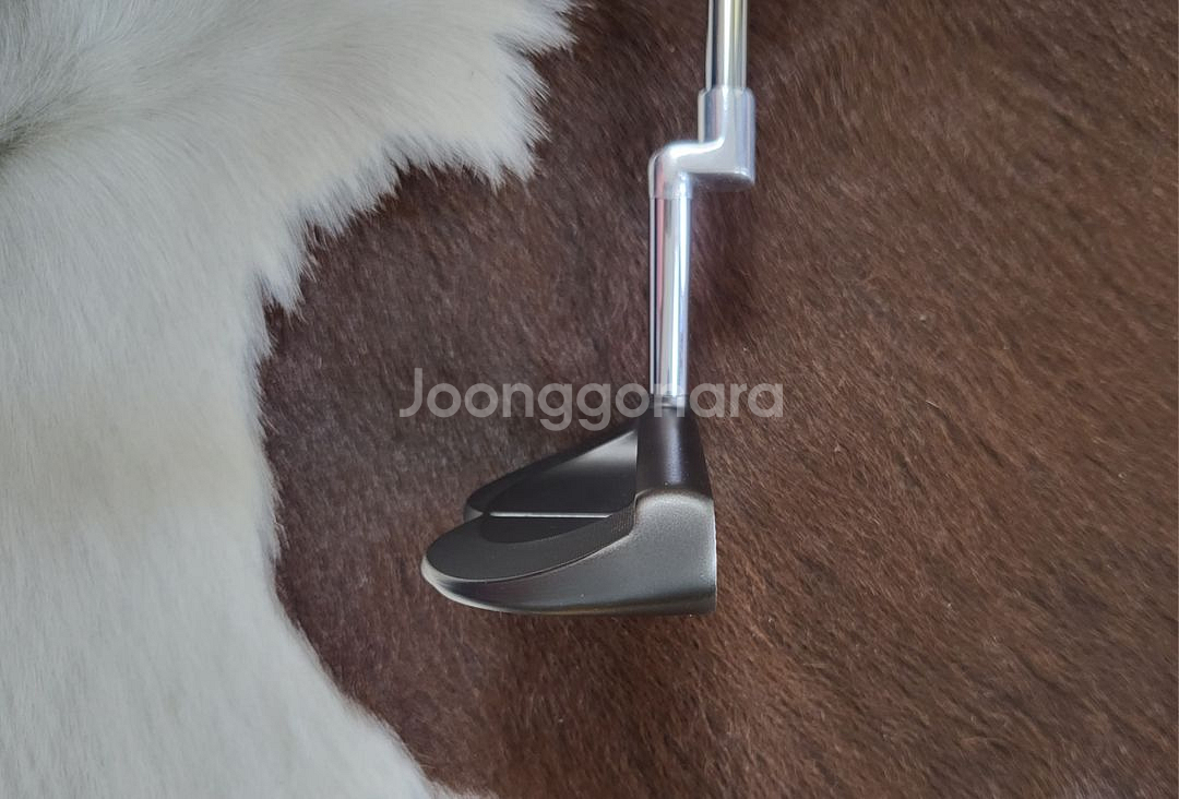 오디세이 ODYSSEY 밀드컬렉션 한정판 말렛 퍼터--5