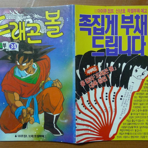 1992년 제27호 소년 만화 잡지 아이큐점프 별책부록