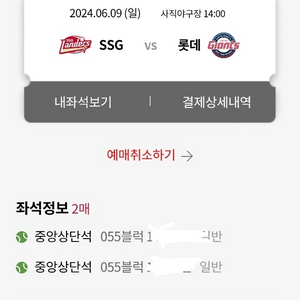 6/9 롯데 ssg 더블헤더 1차전 중앙상단석 2연석