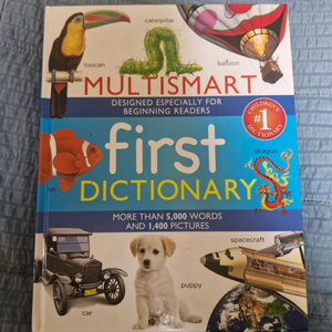 first DICTIONARY 청소년 그림 영어사전