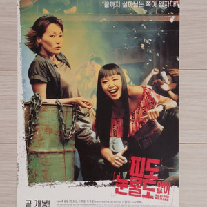 전도연 이혜영 정재영 피도눈물도없이(2002)전단지