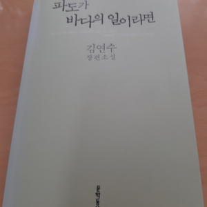 김연수의 <파도가 바다의 일이라면>